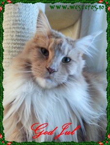 God Jul HH2013