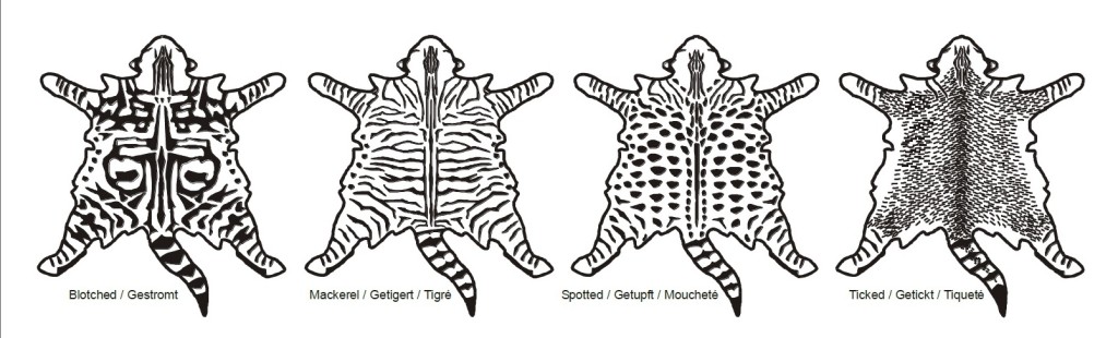 FIFe standard tabby patterns