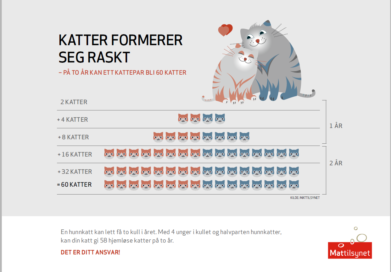 Kastrering