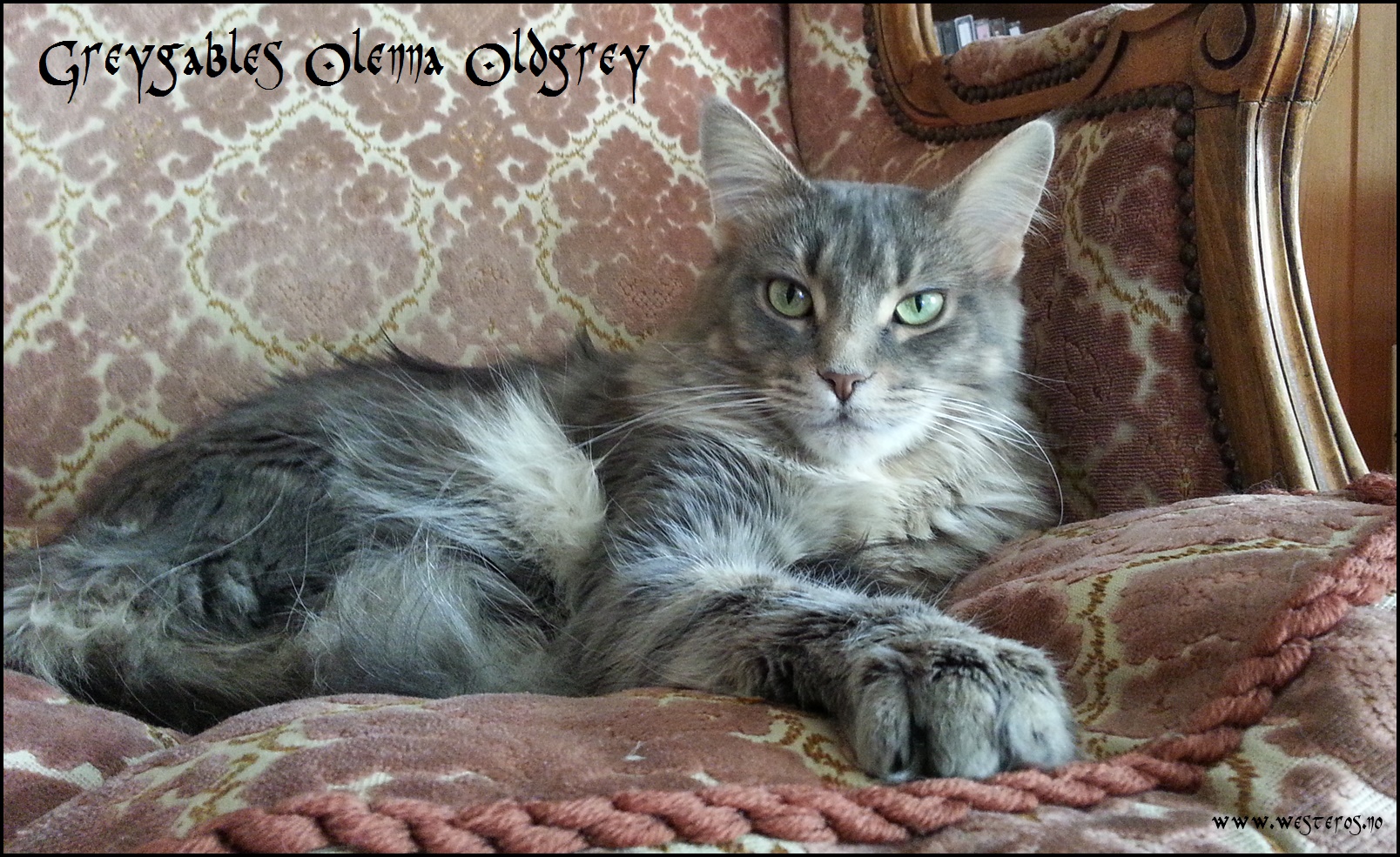 Olenna 3 years old