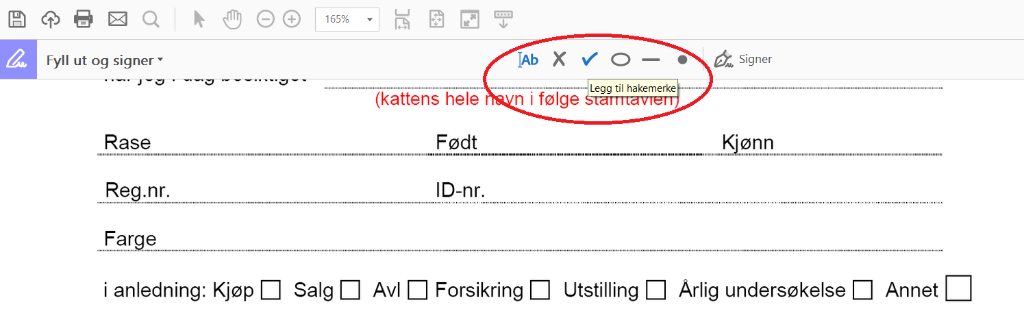 pdf-fyllut4