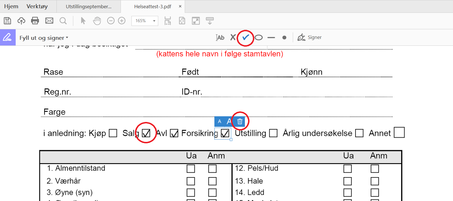 pdf-fyllut5