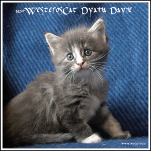 Dyanna 5,5 weeks old