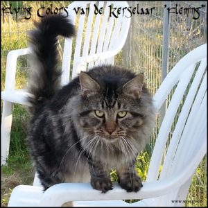 Fleming 2,5 years old