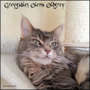 Olenna 4 years old