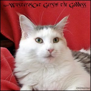 Gersimi 11 months old